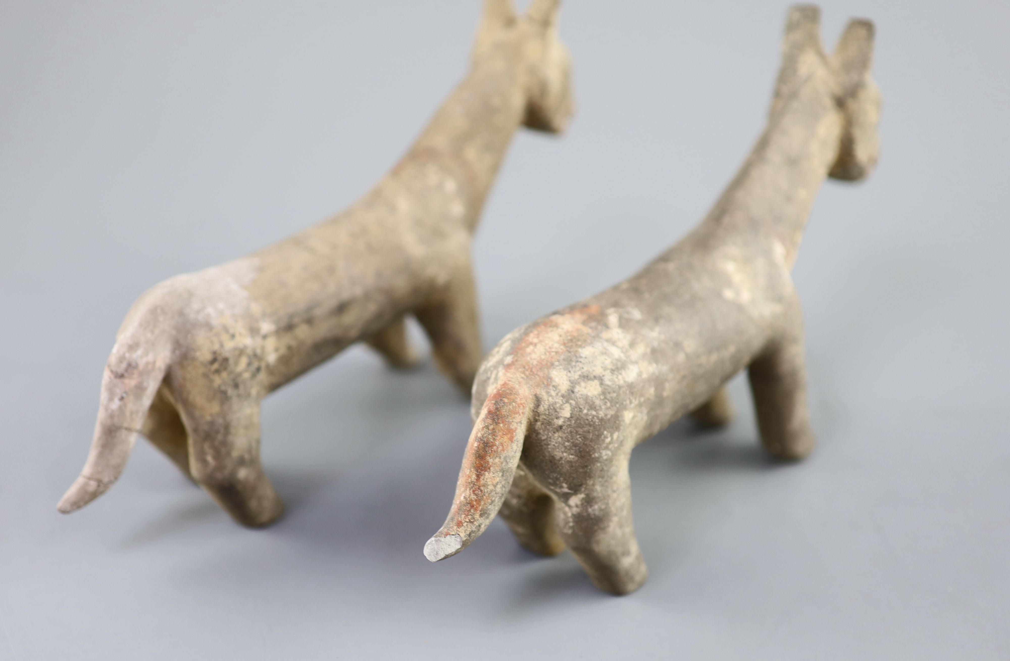 A pair of Chinese grey pottery models of dogs, Han dynasty or later, 26cm long, repairs